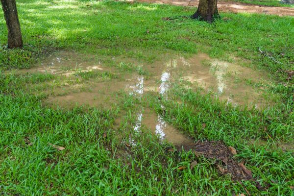 Cost of Storm Water Drainage Service in Lebanon