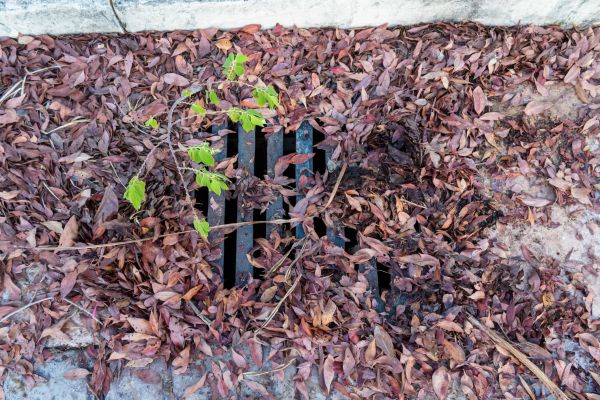Yard Drain Unclogging in Lebanon